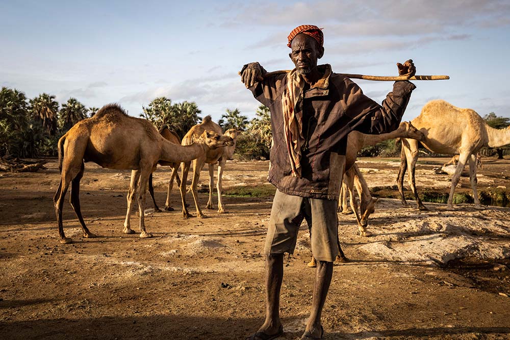 A pastoralist with his Camels